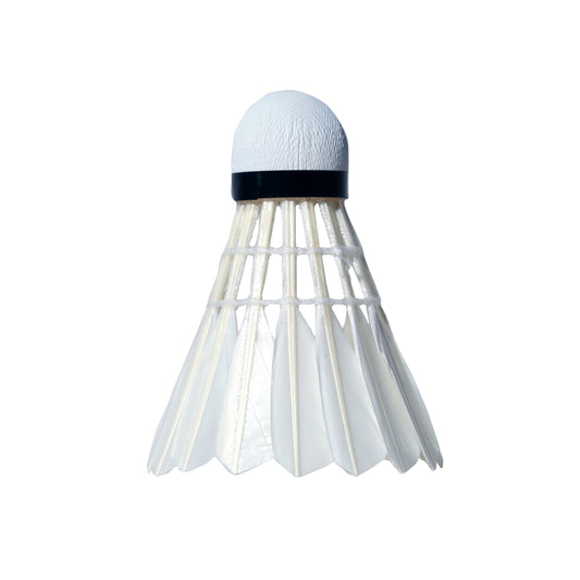 FEATHER SHUTTLECOCK TF - 100 COMBO